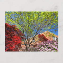 Kleurrijke bomen en struiken in de lente briefkaart