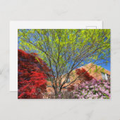 Kleurrijke bomen en Struiken in het voorjaar Briefkaart (Voorkant / Achterkant)