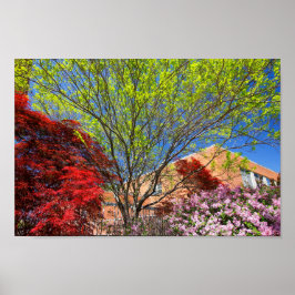 Kleurrijke bomen en Struiken in het voorjaar Poster