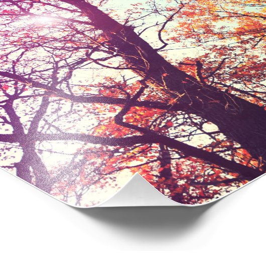 Kleurrijke bomen foto afdruk (Hoek)