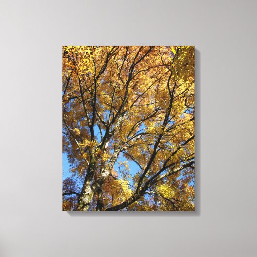 Kleurrijke bomen in het najaar canvas afdruk (Voorkant)