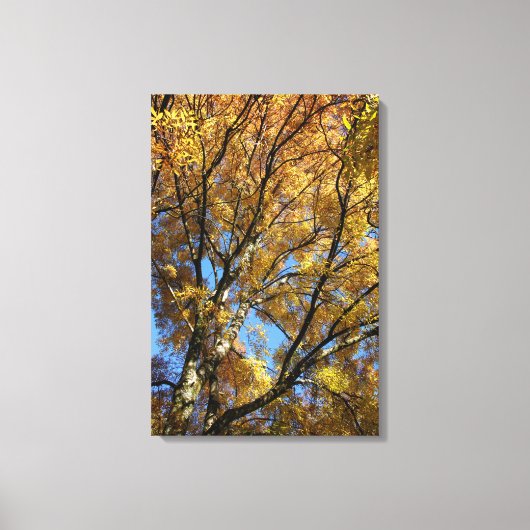 Kleurrijke bomen in het najaar canvas afdruk (Voorkant)
