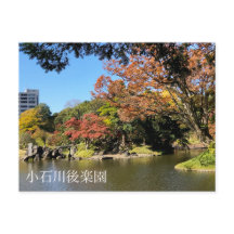 Kleurrijke bomen in Japanse tuin