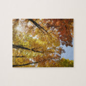 Kleurrijke bomen legpuzzel (Horizontaal)