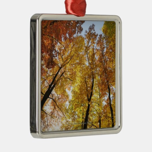 Kleurrijke bomen metalen ornament (Rechts)