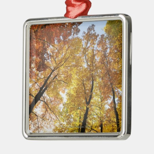 Kleurrijke bomen metalen ornament (Links)