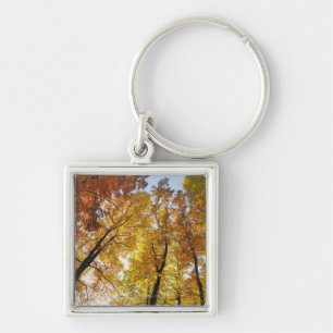 Kleurrijke bomen sleutelhanger