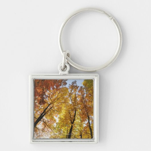 Kleurrijke bomen sleutelhanger (Voorkant)