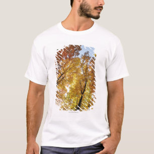 Kleurrijke bomen t-shirt