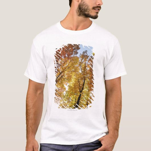 Kleurrijke bomen t-shirt (Voorkant)