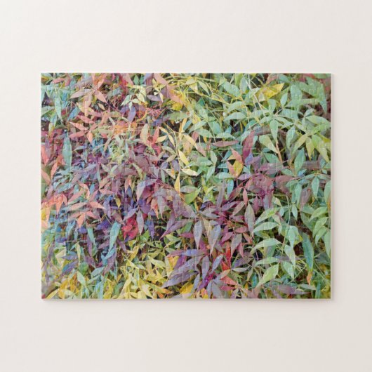 Kleurrijke boombladeren Natuur puzzel Legpuzzel (Horizontaal)