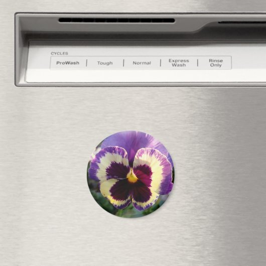 kleurrijke bron Pansy Magneet (Insitu (Vaatwasser))