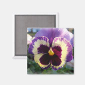 kleurrijke bron Pansy Magneet (Voorkant / Achterkant)
