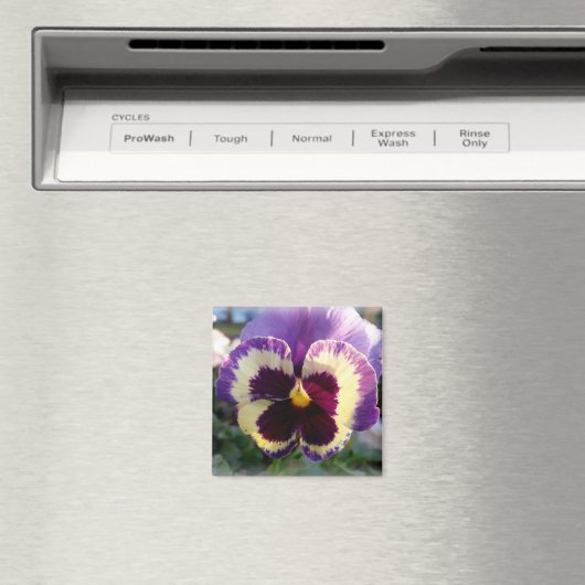 kleurrijke bron Pansy Magneet (Insitu (Vaatwasser))