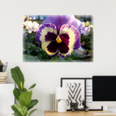 kleurrijke bron Pansy Poster (Thuiskantoor)