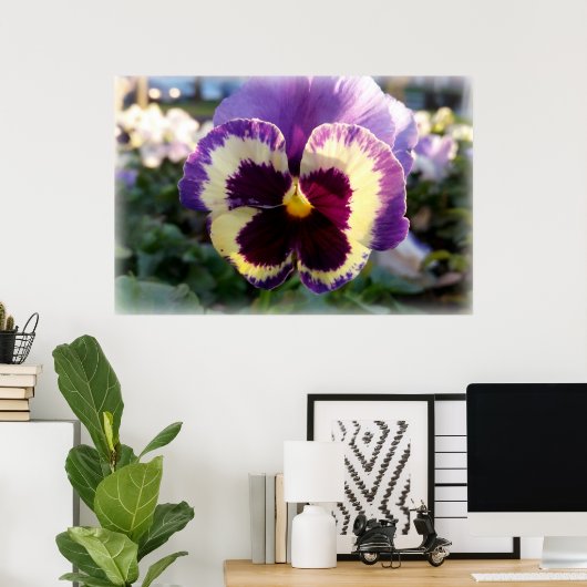 kleurrijke bron Pansy Poster (Thuiskantoor)