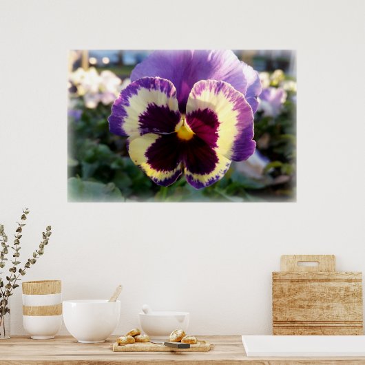kleurrijke bron Pansy Poster (Keuken)