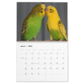 Kleurrijke Budgies Parkiet Vogelliefhebber Kalender (Mar 2026)
