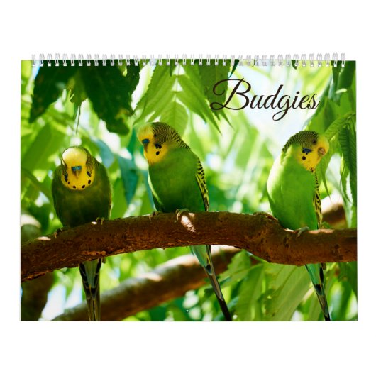 Kleurrijke Budgies Parkiet Vogelliefhebber Kalender (Hoes)