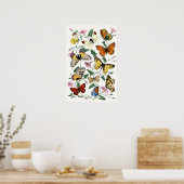 Kleurrijke Butterfly Sketch Art Poster (Keuken)