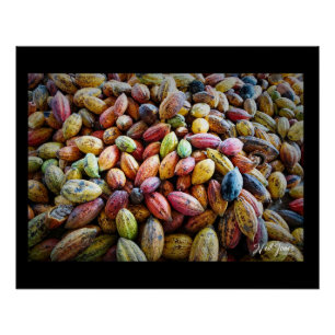 Kleurrijke Cacaopeulen fotografisch ontwerp Perfect Poster