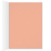 Kleurrijke cactus bloeit (Binnen (Rechts))