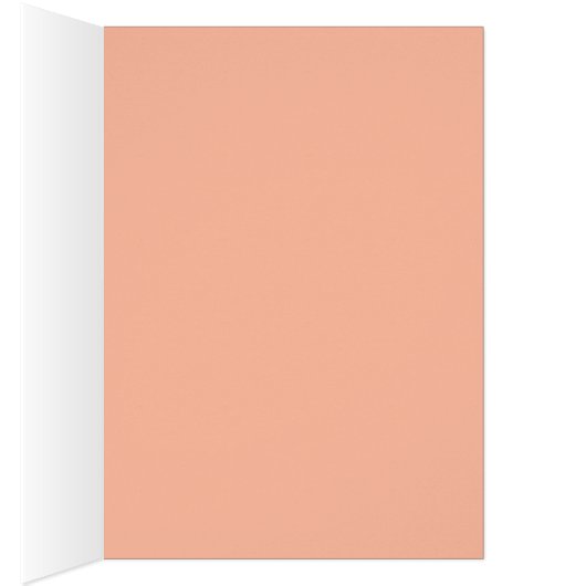 Kleurrijke cactus bloeit (Binnen (Rechts))