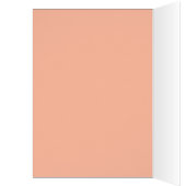 Kleurrijke cactus bloeit (Binnen (Links))