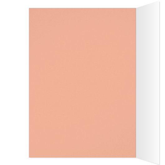 Kleurrijke cactus bloeit (Binnen (Links))