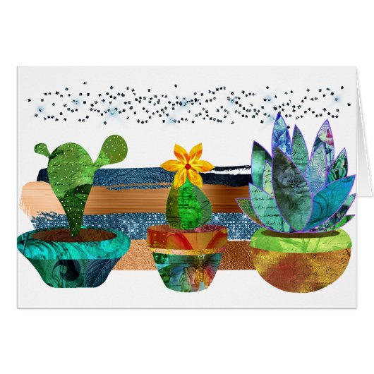 Kleurrijke Cactus en Succulenten (Voorkant Horizontaal)