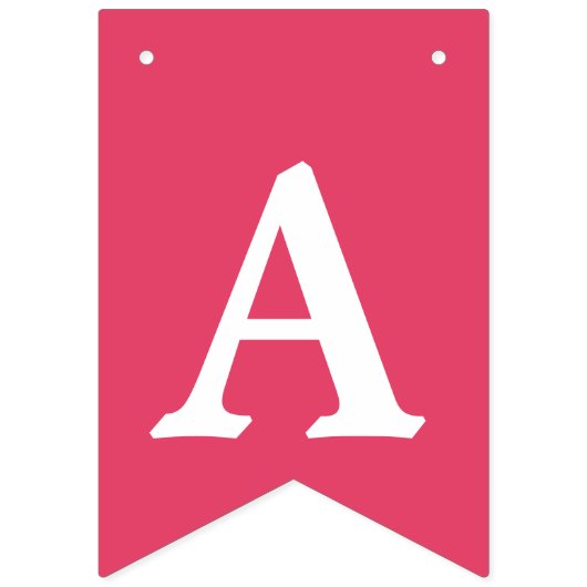 Kleurrijke Cactus Llama Fun Verjaardagsfeest Vlaggetjes (Derde vlag)