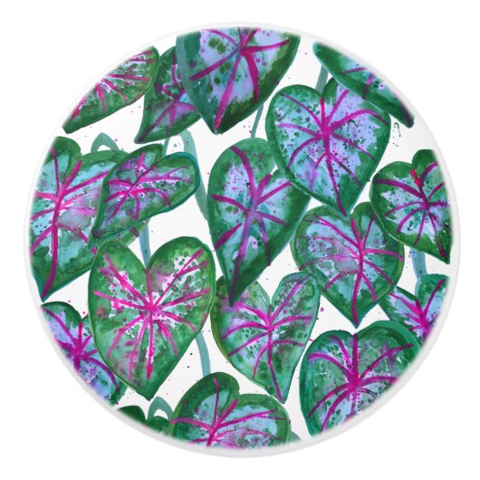 Kleurrijke CaladiumWaterverf Art Roze Groen Keramische Knop (Voorkant)