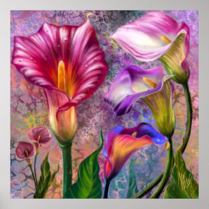 Kleurrijke Calla Lilies Poster
