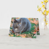 Kleurrijke Cat Kaart (Gele Bloem)