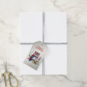 Kleurrijke Christmas Owl Holiday Gift Label Cadeaulabel (Met Touw)