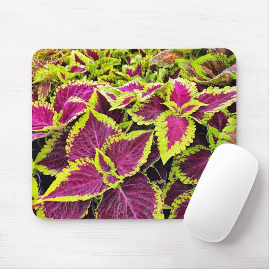 Kleurrijke Coleus bladeren Muismat (Met muis)