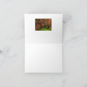 "KLEURRIJKE COLEUS" (FOTO) KAART (Binnen)