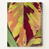 Kleurrijke Coleus Plant Blad Bloemen Notitieboek (Achterkant)