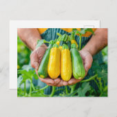 Kleurrijke courgette variëteit in handen feestdagenkaart (Voorkant / Achterkant)