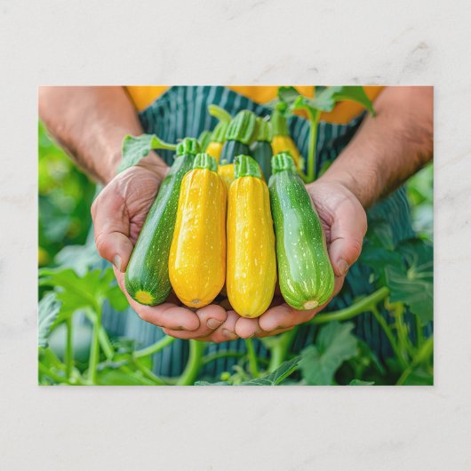Kleurrijke courgette variëteit in handen feestdagenkaart (Voorkant)