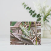 Kleurrijke cricketkikker briefkaart (Staand voorkant)