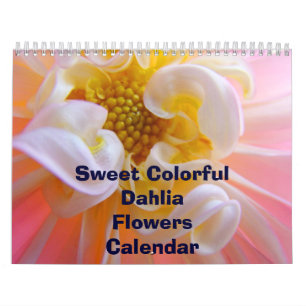 Kleurrijke Dahlia Bloemen Kalender Florals