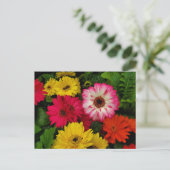 Kleurrijke daisies briefkaart (Staand voorkant)