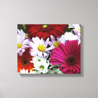 Kleurrijke Daisies Canvas Print
