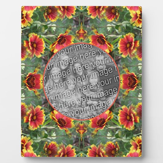 Kleurrijke Daisy Flowers Creëer Uw eigen foto Fotoplaat (Voorkant)