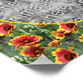 Kleurrijke Daisy Flowers Lijst Creëer Uw eigen fot Poster (Hoek)