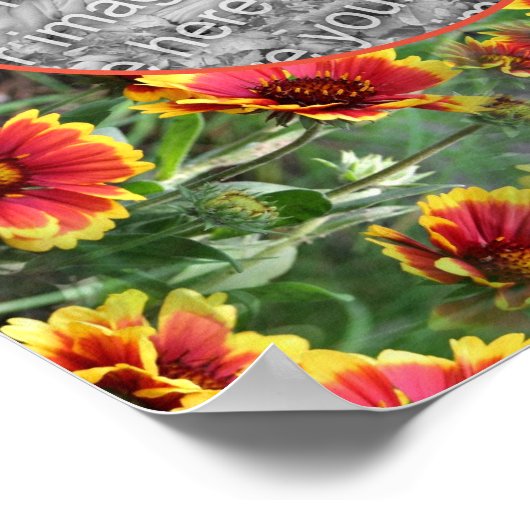 Kleurrijke Daisy Flowers Lijst Creëer Uw eigen fot Poster (Hoek)
