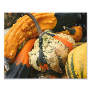 Kleurrijke decoratieve kalebassen Close-up Herfst Foto Afdruk