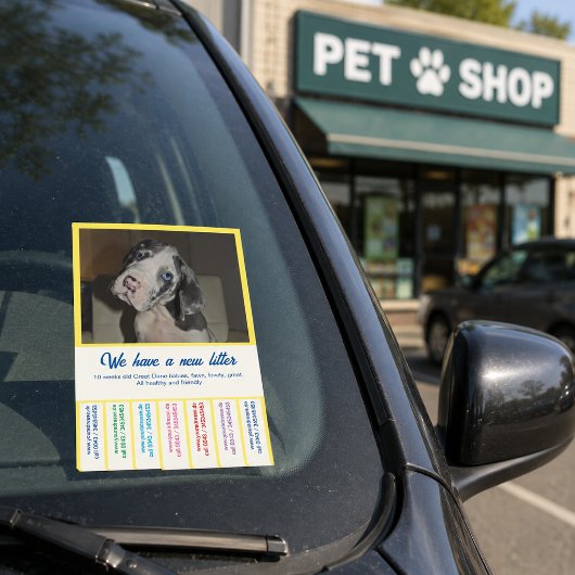 Kleurrijke Deense Puppy's verkopen Post-it® Notes