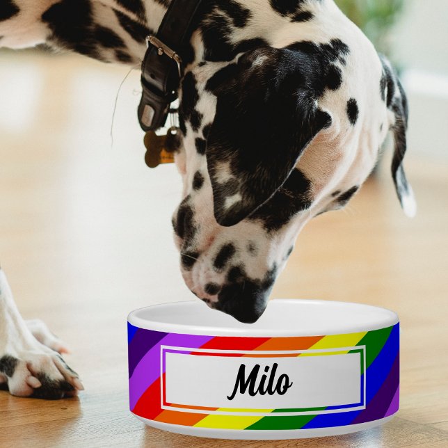 Kleurrijke Diagonal Rainbow Pet Voerbakje (diagonal rainbow color pet bowl with Dalmatian dog)